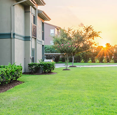 بيت الوطن | التجمع الخامس | القاهرة الجديدة | قنديل للتطوير العقاري | شقق للبيع في القاهرة الجديدة | بنتهاوس بروف | دور متكرر | ارضي بحديقة | دور اخير بروف